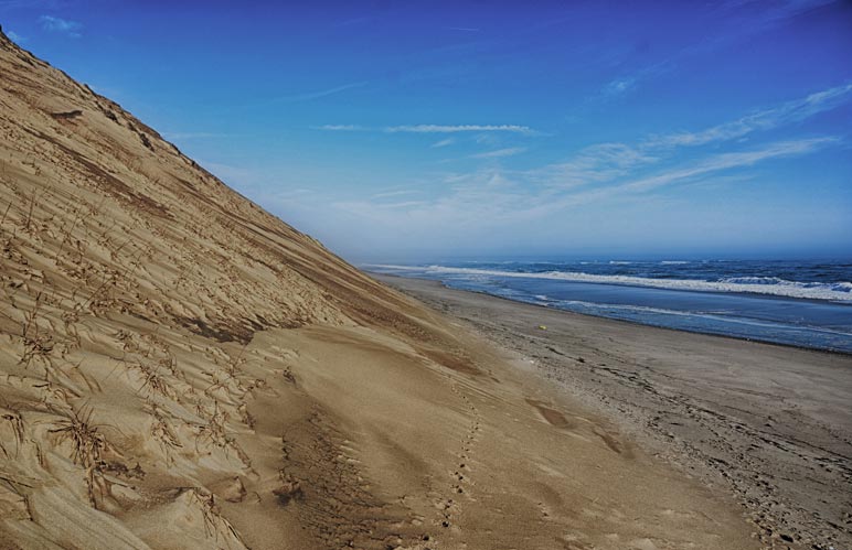 Sand dunes and a beach