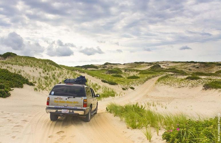 A truck in the sand dunes