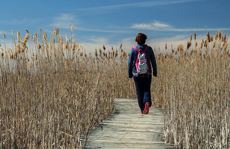 Woman walking on a beachside path in the dunes